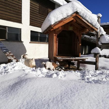 Zweimaederlhaus Appartement Bad Mitterndorf Buitenkant foto