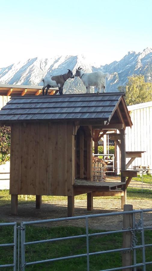 Zweimaederlhaus Appartement Bad Mitterndorf Buitenkant foto
