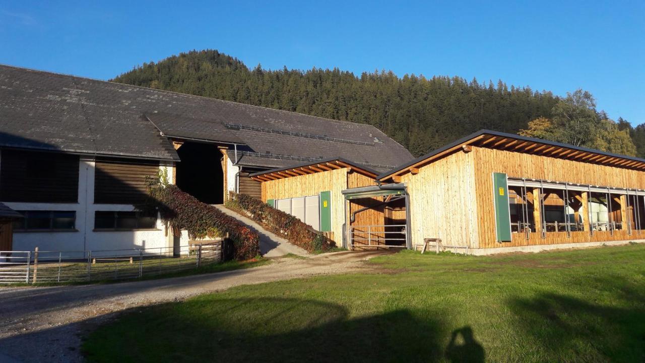 Zweimaederlhaus Appartement Bad Mitterndorf Buitenkant foto