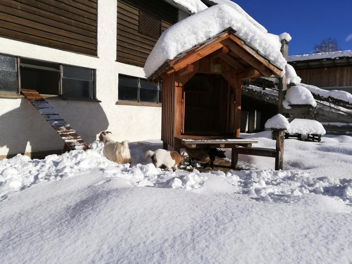 Zweimaederlhaus Appartement Bad Mitterndorf Buitenkant foto